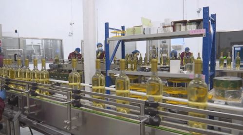 新年開門紅 訂單飽滿驅動生產提速，技術轉讓賦能企業轉型升級